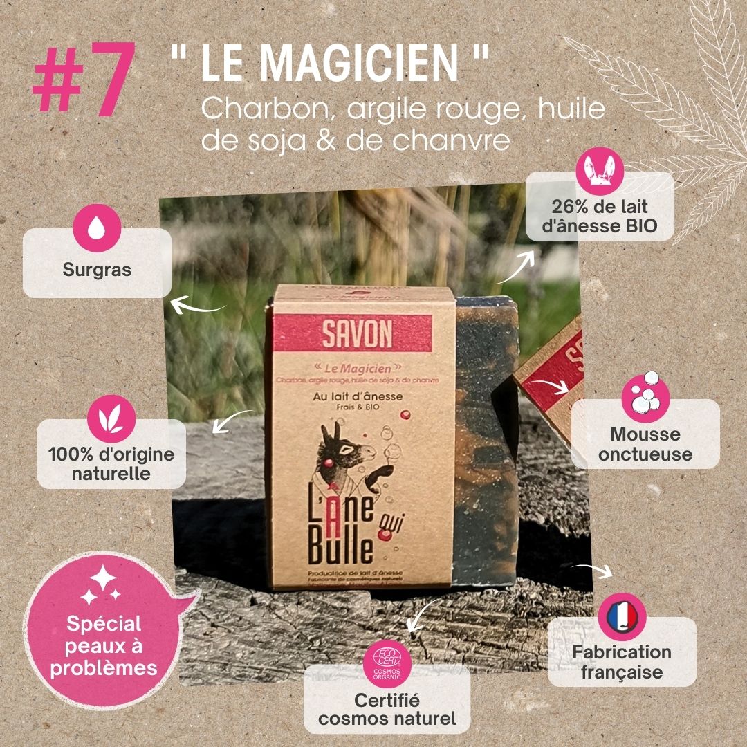 Le Magicien