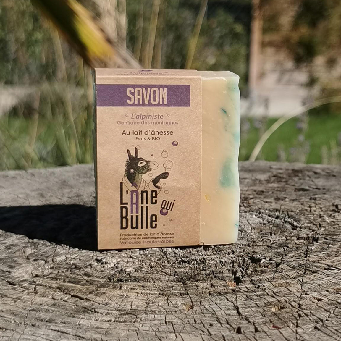 L’Alpiniste – Gentiane des montagnes