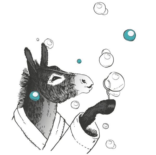 Actualités de la Ferme l'Âne Qui Bulle - Marchés de Noël dans les Hautes-Alpes - Cosmétiques au lait d'ânesse bio